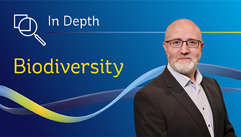 Visual with text reading 'In Depth: Biodiversity' and a headshot photograph of a man in business attire
