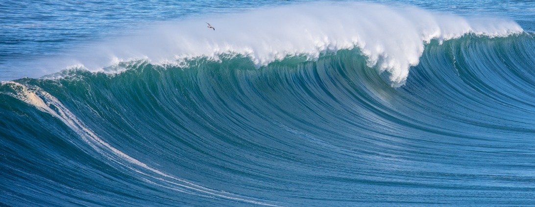 A large ocean wave
