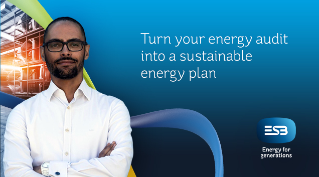 Turn your energy audit into a sustainable energy plan