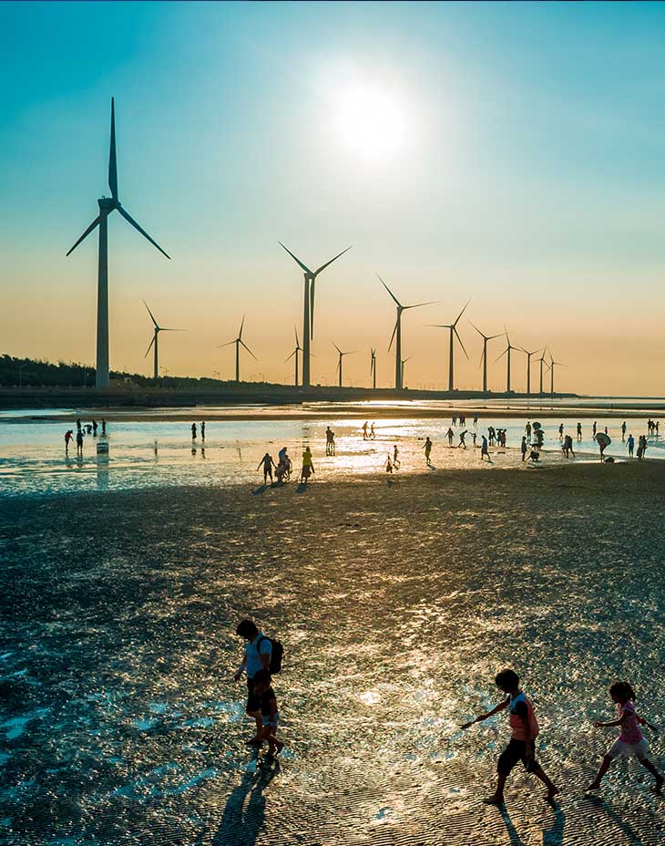 beach with people and windmills