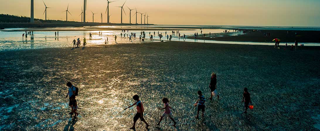 beach with people and windmills