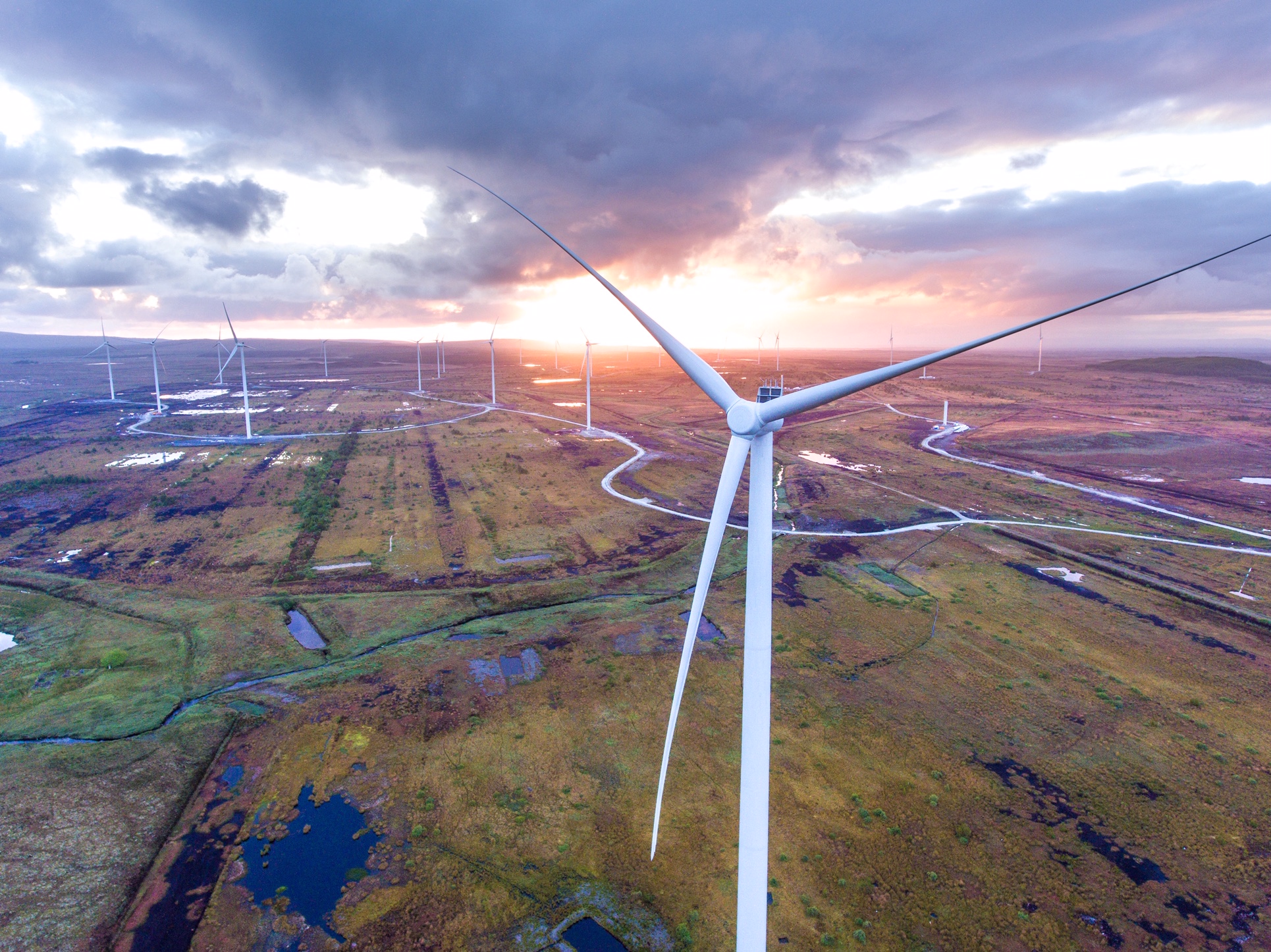 A large wind farm with multiple turbines in Irish landscape